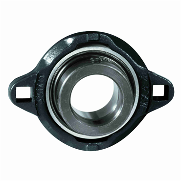 1 1/4 in Ductile Iron Intermediate Duty 2 Bolt Flange Block