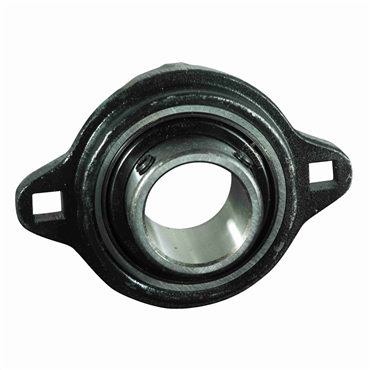 1 in Ductile Iron Setscrew Locking Standard Duty 2 Bolt Flange Block