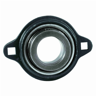 3/4 in Ductile Iron Intermediate Duty 2 Bolt Flange Block