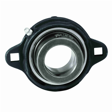 1 3/16 in Ductile Iron Intermediate Duty 2 Bolt Flange Block