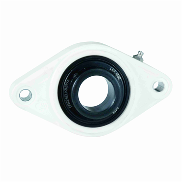 30 mm Setscrew Locking Intermediate Duty 2 Bolt Flange Block