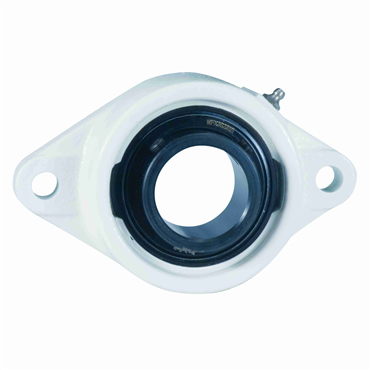 1 1/4 in Cast Iron Setscrew Locking Intermediate Duty 2 Bolt Flange Block