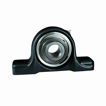2 1/4 in Heavy Duty Cast Iron 2 Bolt Pillow Block