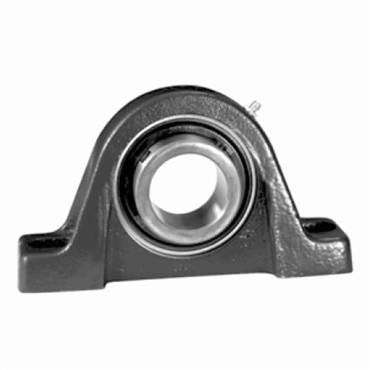 1 in Medium Duty Cast Iron 2 Bolt Pillow Block
