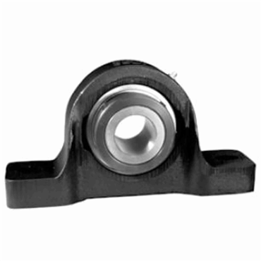 2 in Heavy Duty Cast Iron 2 Bolt Pillow Block