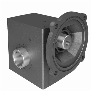 Cast Iron Hollow Bore Output Single Reduction Worm Reducer