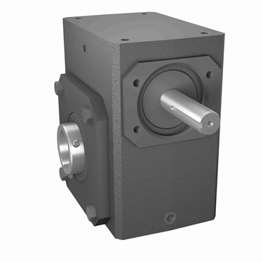 Cast Iron Hollow Bore Output Single Reduction Worm Reducer
