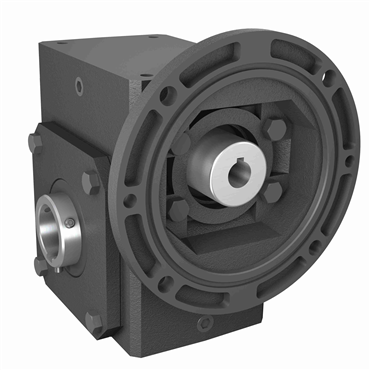 Cast Iron Hollow Bore Output Single Reduction Worm Reducer