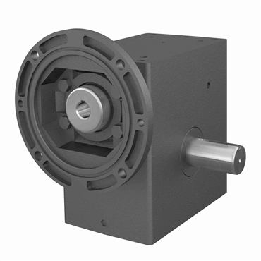 Cast Iron Shaft Output Single Reduction Worm Reducer