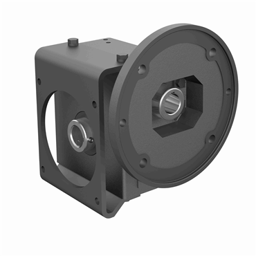 Cast Iron Hollow Bore Output Single Reduction Worm Reducer