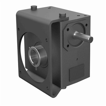 Cast Iron Hollow Bore Output Single Reduction Worm Reducer