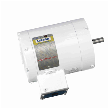 Leeson113019.00
