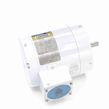 Washdown Duty AC Motor