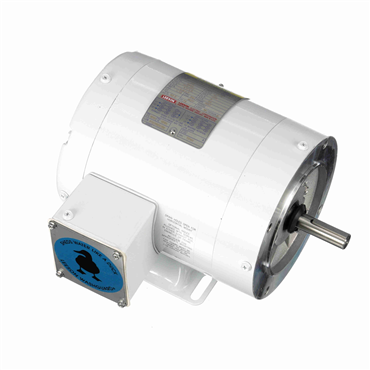 AC Motor