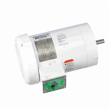 Washdown Duty AC Motor