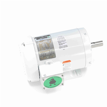 Washdown Duty AC Motor