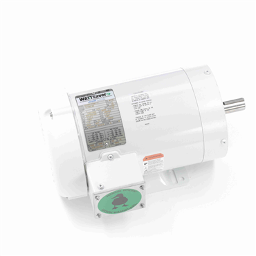 Washdown Duty AC Motor