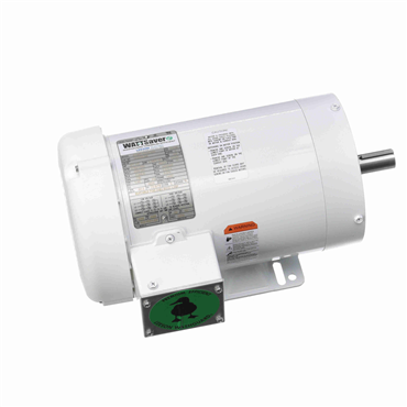 Washdown Duty AC Motor