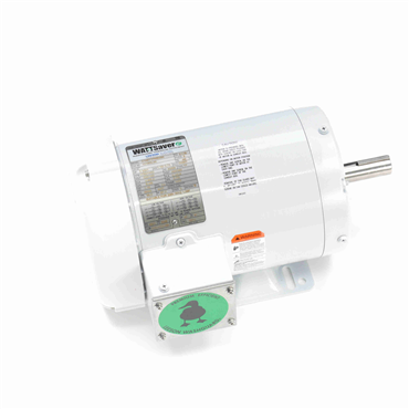 Washdown Duty AC Motor