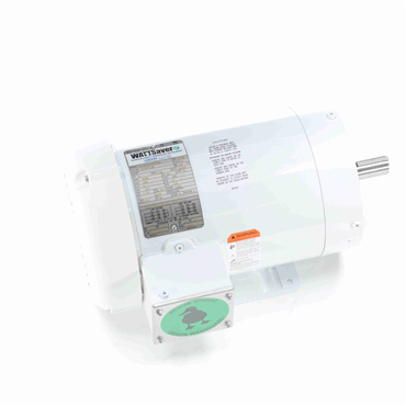 AC Three Phase Washguard Motors