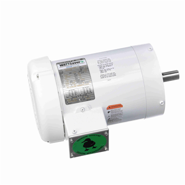 Washdown Duty AC Motor