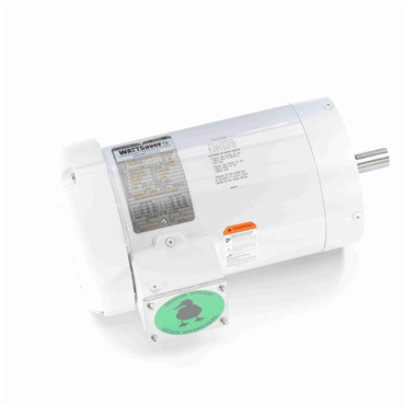 Washdown Duty AC Motor
