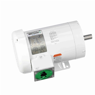 Washdown Duty AC Motor