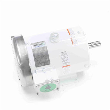 Washdown Duty AC Motor