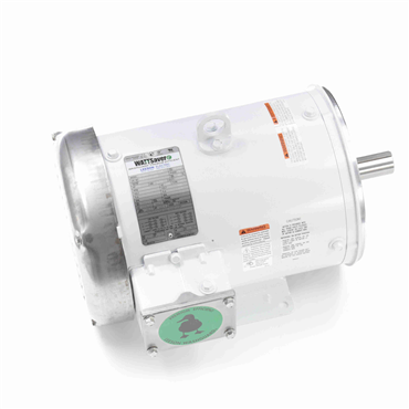 Washdown Duty AC Motor