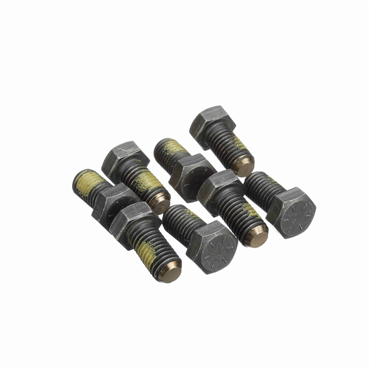 Size 304 Flange Fastener Set
