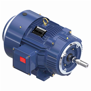 10 Hp 60 Hz 1200 rpm Drip Proof Three Phase Close-Coupled Pump Motor