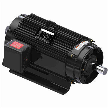 10 Hp 60 Hz 1200 rpm Totally Enclosed Fan Cooled Three Phase Speed Ratio Motor