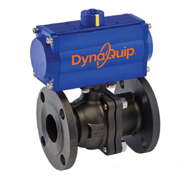 DynaQuip ControlsP5C6BEJDA105A