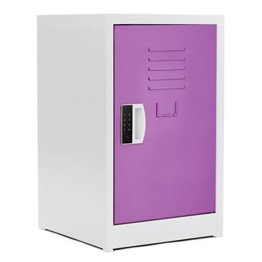 Alpine IndustriesADI629-02-PUR-DL