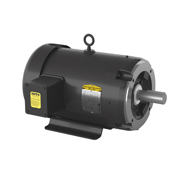 3 hp 213TC Frame Three Phase AC Motor
