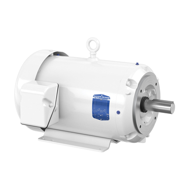 20 hp 256TC Frame Three Phase AC Motor