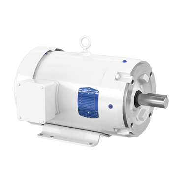 3 hp 213TC Frame Three Phase AC Motor