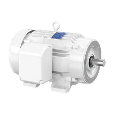 25 hp 284TSC Frame Three Phase AC Motor
