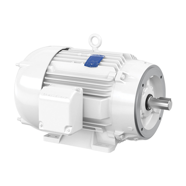 50 hp 326TSC Frame Three Phase AC Motor