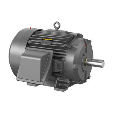 60 hp 364T Frame Three Phase AC Motor