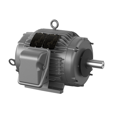 5 hp 215T Frame Three Phase AC Motor