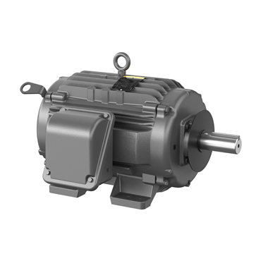 30 hp 286T Frame Three Phase AC Motor
