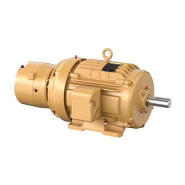 15 hp 254T Frame Three Phase AC Motor