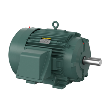 75 hp 365T Frame Three Phase AC Motor