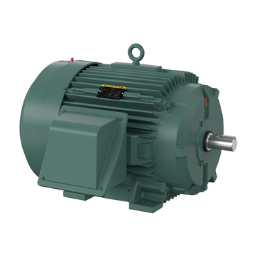 75 hp 365TS Frame Three Phase AC Motor