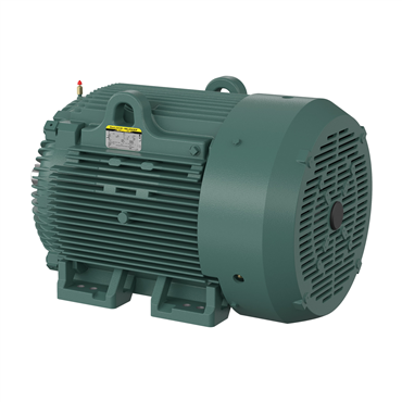 100 hp 405TS Frame Three Phase AC Motor