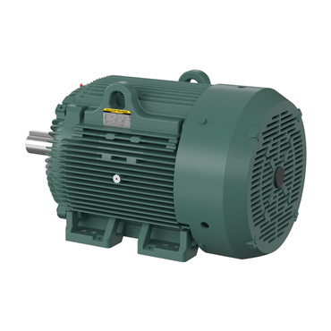 100 hp 405T Frame Three Phase AC Motor
