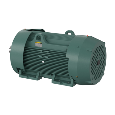 250 hp 449T Frame Three Phase AC Motor