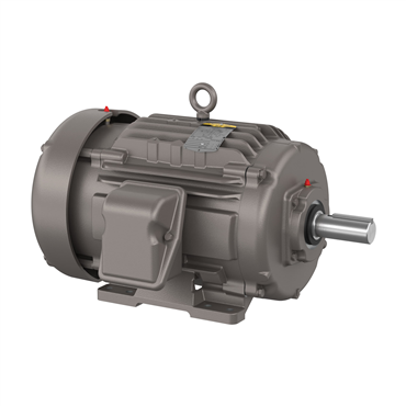 10 hp 256T Frame Three Phase AC Motor