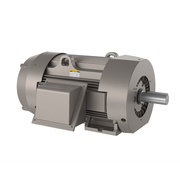 250 hp 449T Frame Three Phase AC Motor